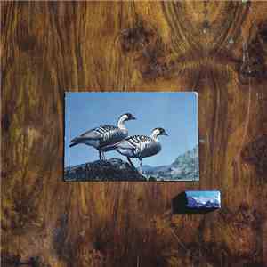 Fine Before You Came - Il Numero Sette mp3 album