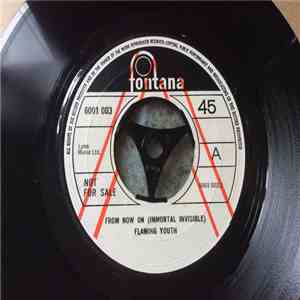Flaming Youth - From Now On (Immortal Invisible) mp3 album