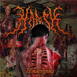 Harsh - Underlying mp3 album