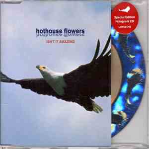 Hothouse Flowers - Isn't It Amazing mp3 album