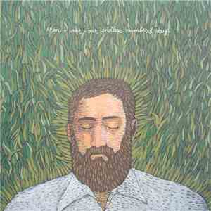 Iron + Wine - Our Endless Numbered Days mp3 album