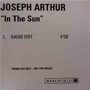 Joseph Arthur - In The Sun mp3 album