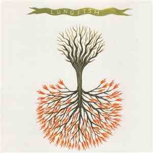 Lungfish - Love Is Love mp3 album
