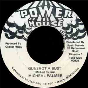 Micheal Palmer - Gunshot A Bust mp3 album