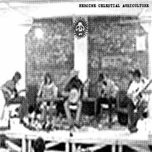 MV / EE / Barnes / Willie / Doc / Muskox - Terrastock Raga mp3 album