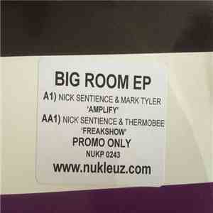 Nick Sentience / Mark Tyler / Thermobee - Big Room EP mp3 album