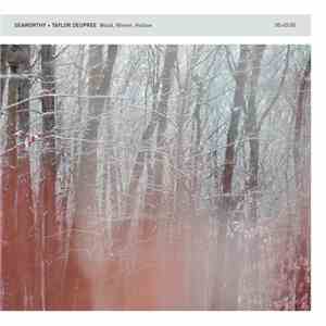 Seaworthy + Taylor Deupree - Wood, Winter, Hollow mp3 album