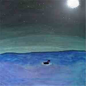 Silvercord - swan on a black sea mp3 album