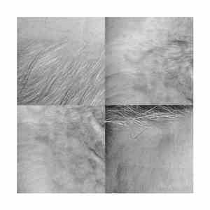 Steve Roden - (For) mp3 album