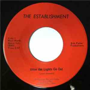 The Establishment - After The Lights Go Out mp3 album