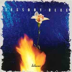 Tuesday Blue - Shibumi mp3 album