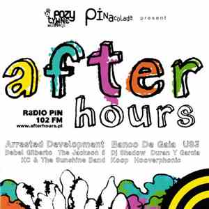 Various - After Hours Vol.1 Radio PiN 102 FM mp3 album