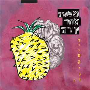רייסקינדר - משהו אחר קרה mp3 album
