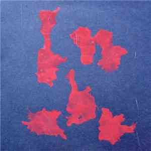 Ben Long  - Relationship Between Species mp3 album