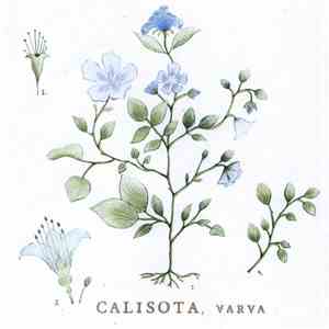 Calisota - Varva mp3 album