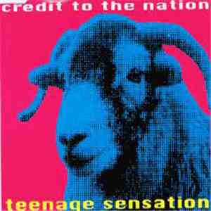 Credit To The Nation - Teenage Sensation mp3 album