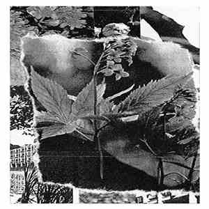 Curative Measures - England Wears A Mask mp3 album