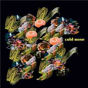 Dereck Higgins - Cold Nose mp3 album