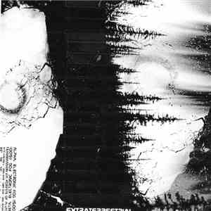 Extraterrestrial - Electronic Fog mp3 album