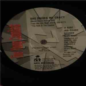 Fine Young Cannibals - She Drives Me Crazy mp3 album