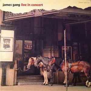 James Gang - Live In Concert mp3 album