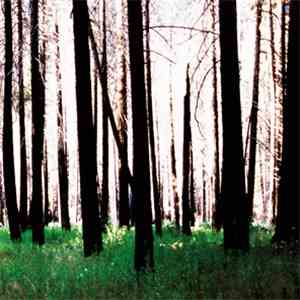 Midsummer - Inside The Trees mp3 album