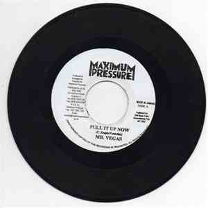 Mr. Vegas - Pull It Up Now mp3 album