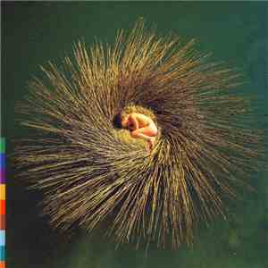 Peter Gabriel - OVO mp3 album