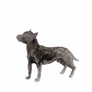 PJ Harvey - A Dog Called Money / I'll Be Waiting mp3 album