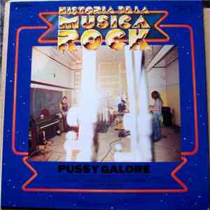 Pussy Galore  - Historia De La Musica Rock mp3 album