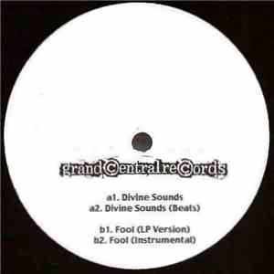Rae & Christian - Divine Sounds mp3 album