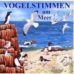 Schulze • Dingler - Vogelstimmen Am Meer mp3 album