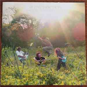 Silent Friction - The Thought That Counts mp3 album