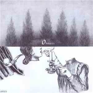 Subinterior - Obstacles mp3 album