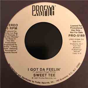Sweet Tee - I Got Da Feelin' / It's Like That Y'all mp3 album