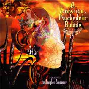 The Amorphous Androgynous - A Monstrous Psychedelic Bubble Exploding In Your Mind Vol 3 - The 3rd Ear mp3 album