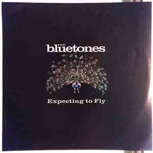 The Bluetones - Expecting To Fly mp3 album