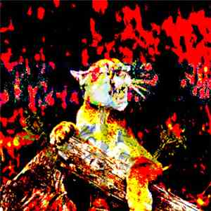 The love(-collective) - at the mouse & the lion mp3 album