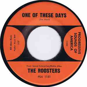 The Roosters  - One Of These Days / You Gotta Run mp3 album