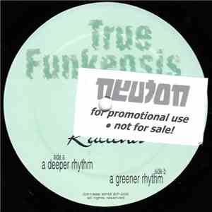 True Funkeosis - Deeper Rhythm mp3 album