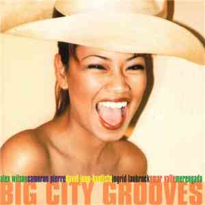 Various - Big City Grooves mp3 album