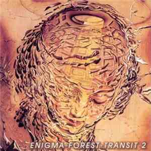 Various - Enigma-Forest-Transit 2 mp3 album