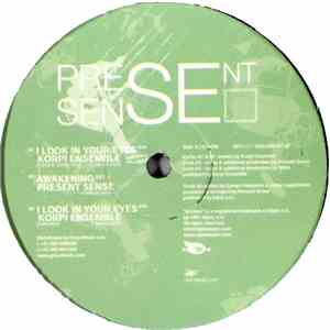 Various - Present Sense mp3 album