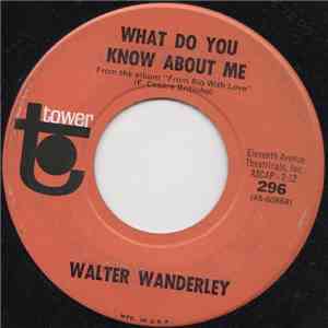 Walter Wanderley - What Do You Know About Me mp3 album
