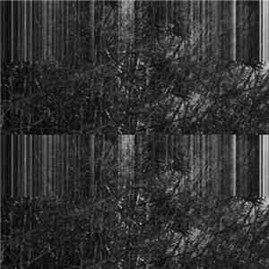 Chlorine Gargle - Coral Antlers​/​Stone Hooves mp3 album