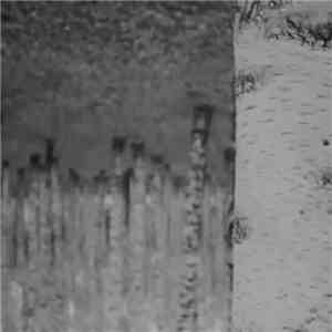 Chlorine Gargle - Stasis mp3 album
