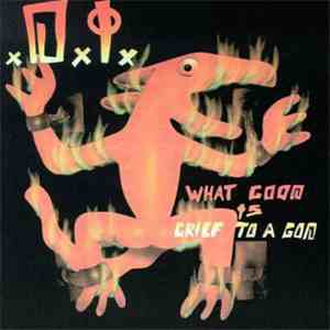 D.I. - What Good Is Grief To A God mp3 album