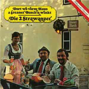 Die 2 Strawanzer - Dort Wo Vorm Haus A Greaner Busch'n Winkt mp3 album