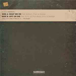 DJ K.O. - What We On / Spit Or Die mp3 album