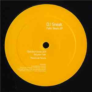 DJ Sneak - Fallin' Beats EP mp3 album